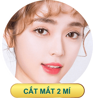 dich vu cat mat 2 mi