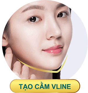 dich vu tao cam vline